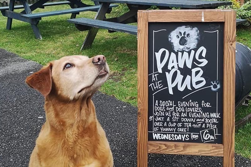 2019 Dog Friendly Best Pub / Bar Winner