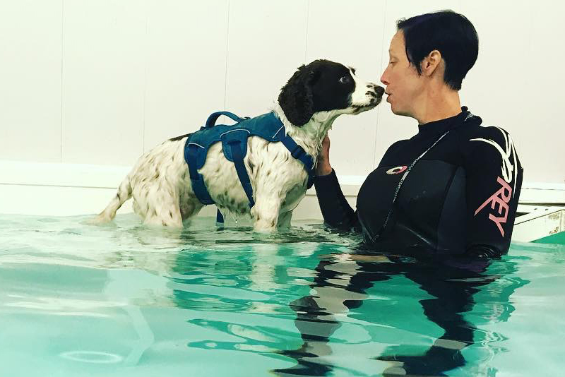 2018 Dog Friendly Best Small Employer Winner