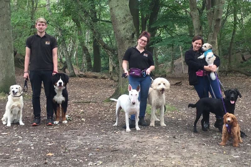 2018 Dog Friendly Best Walkers Winner