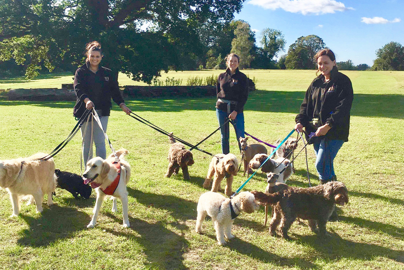 2019 Dog Friendly Best Walkers Winner