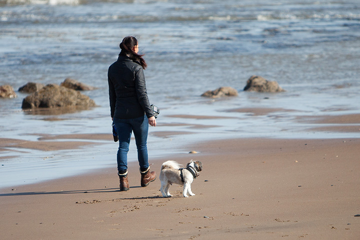 can you take dogs on old hunstanton beach