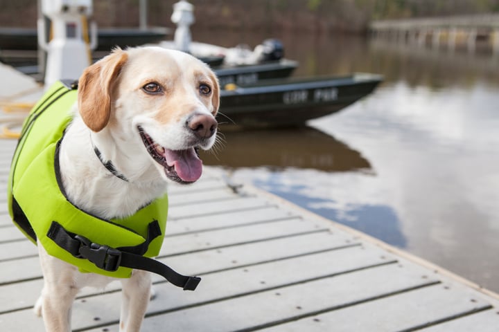 Boating Holidays