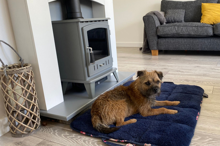 Dogfriendly Accommodation