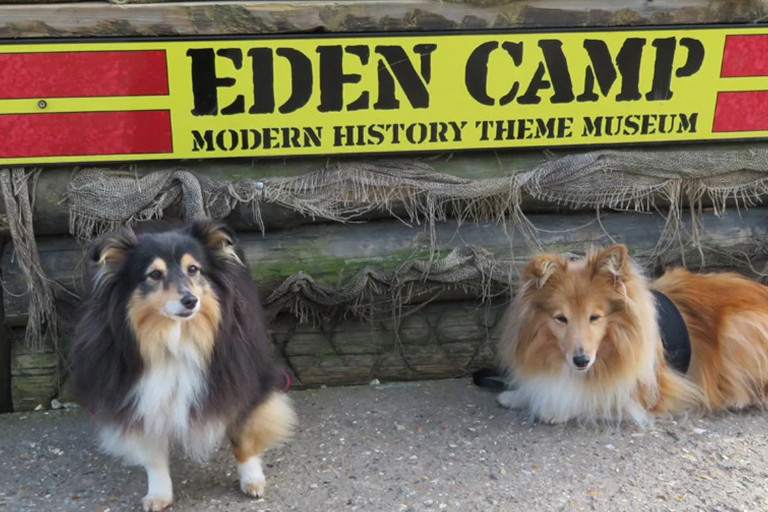 Dogfriendly Days Out