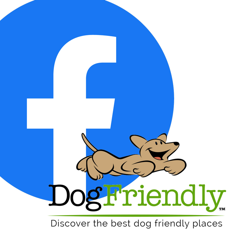 Dogfriendly Magazine