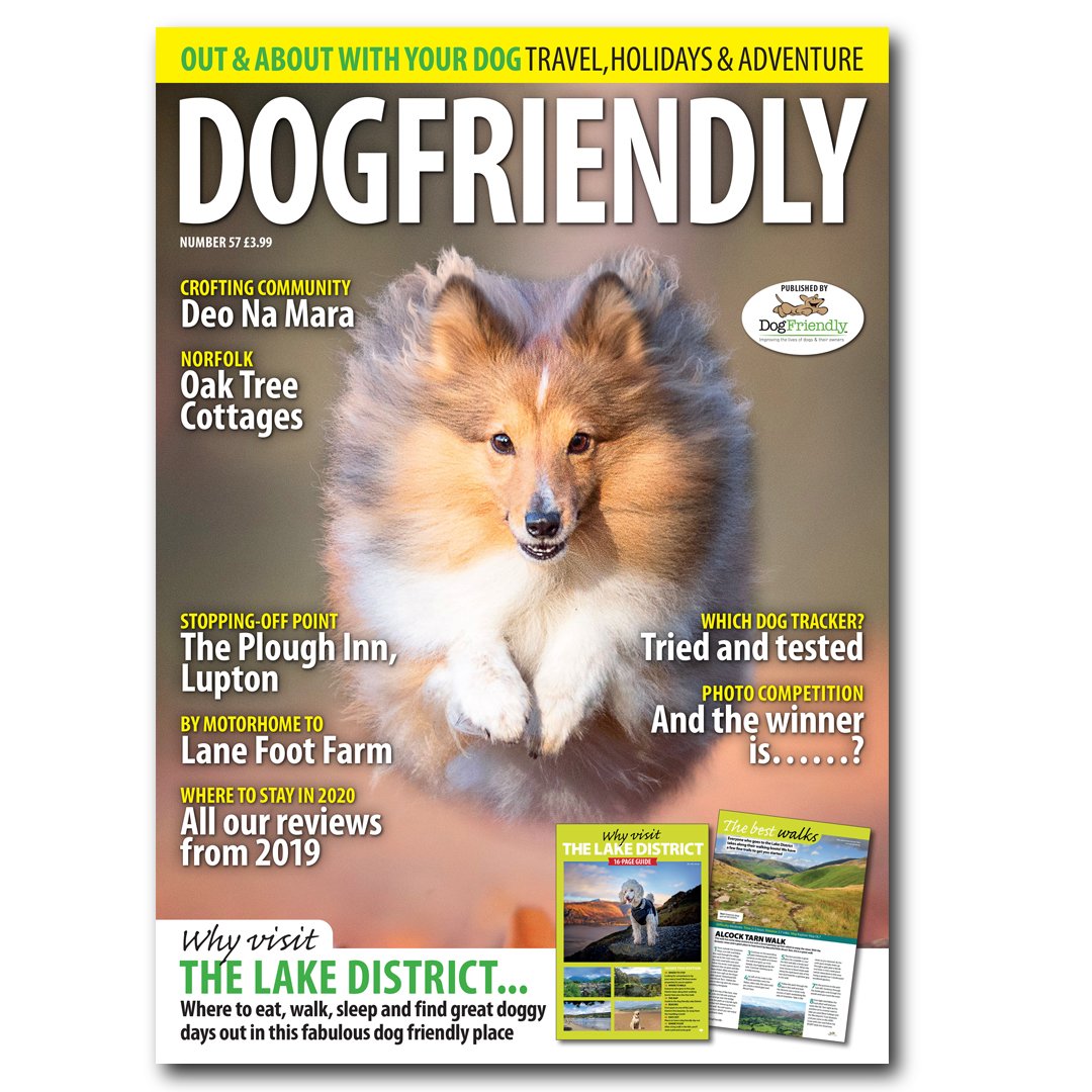 Dog Friendly Magazine