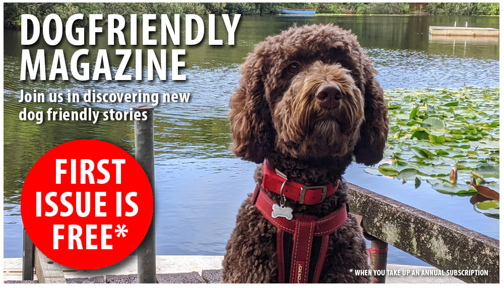 home boarding prices