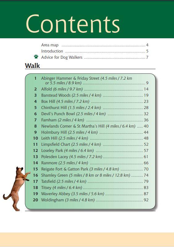 Dog walker leith top