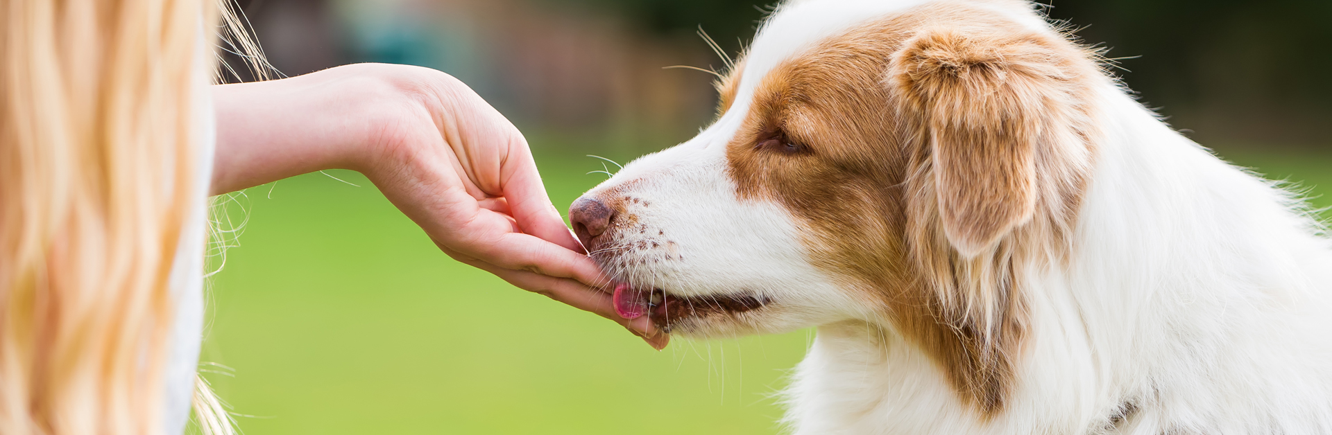 treats_and_eats_header
