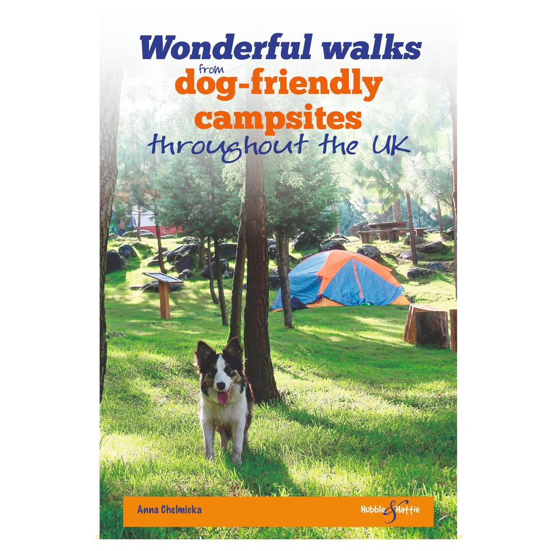 Wonderful walks from dogfriendly campsites throughout the