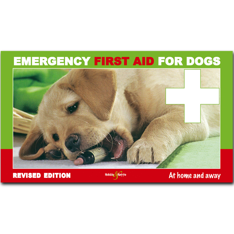 First dog essentials cheap