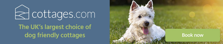 Dog Friendly Places To Eat