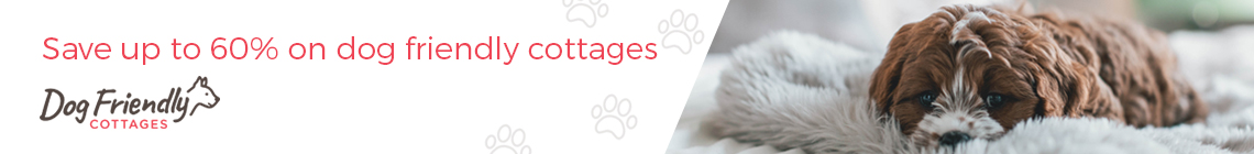 Dog Friendly Accommodation, Places To Visit, Places To Eat and Services