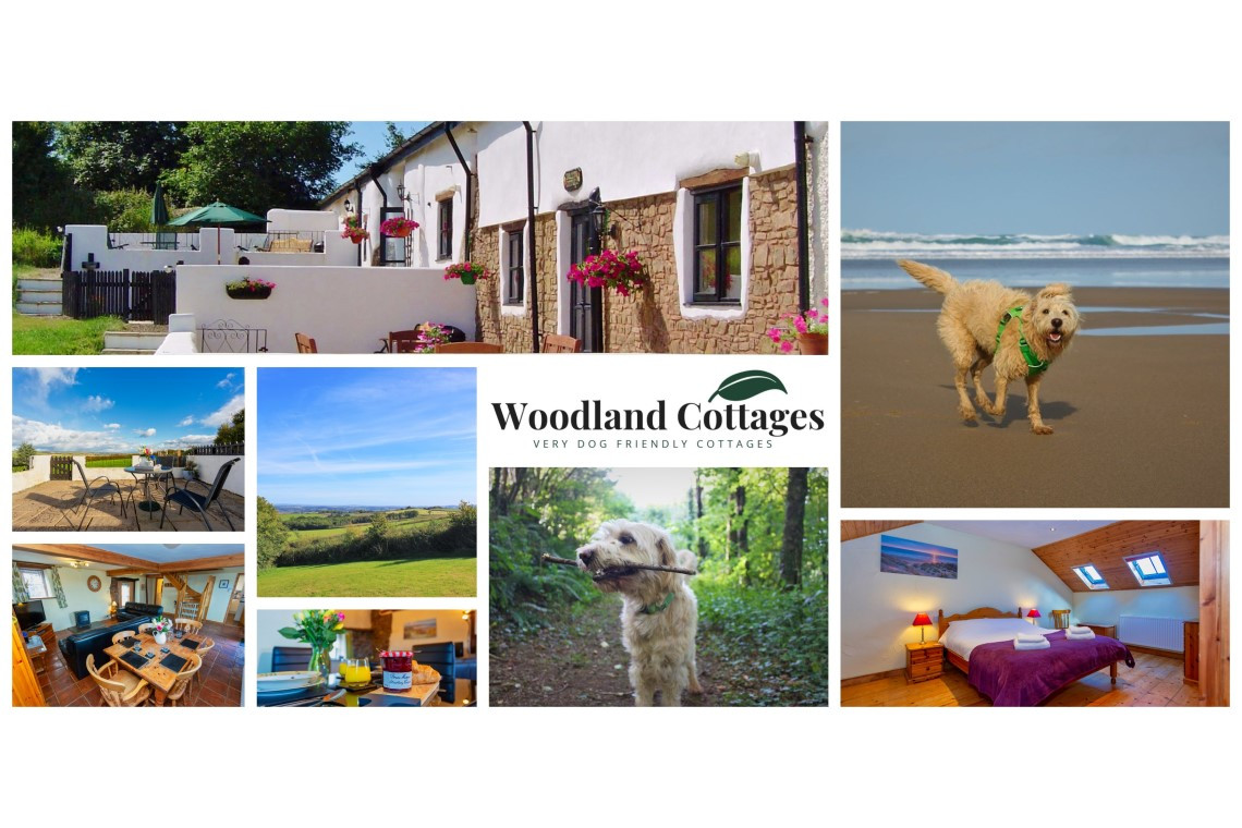 Self catering north devon shop dog friendly