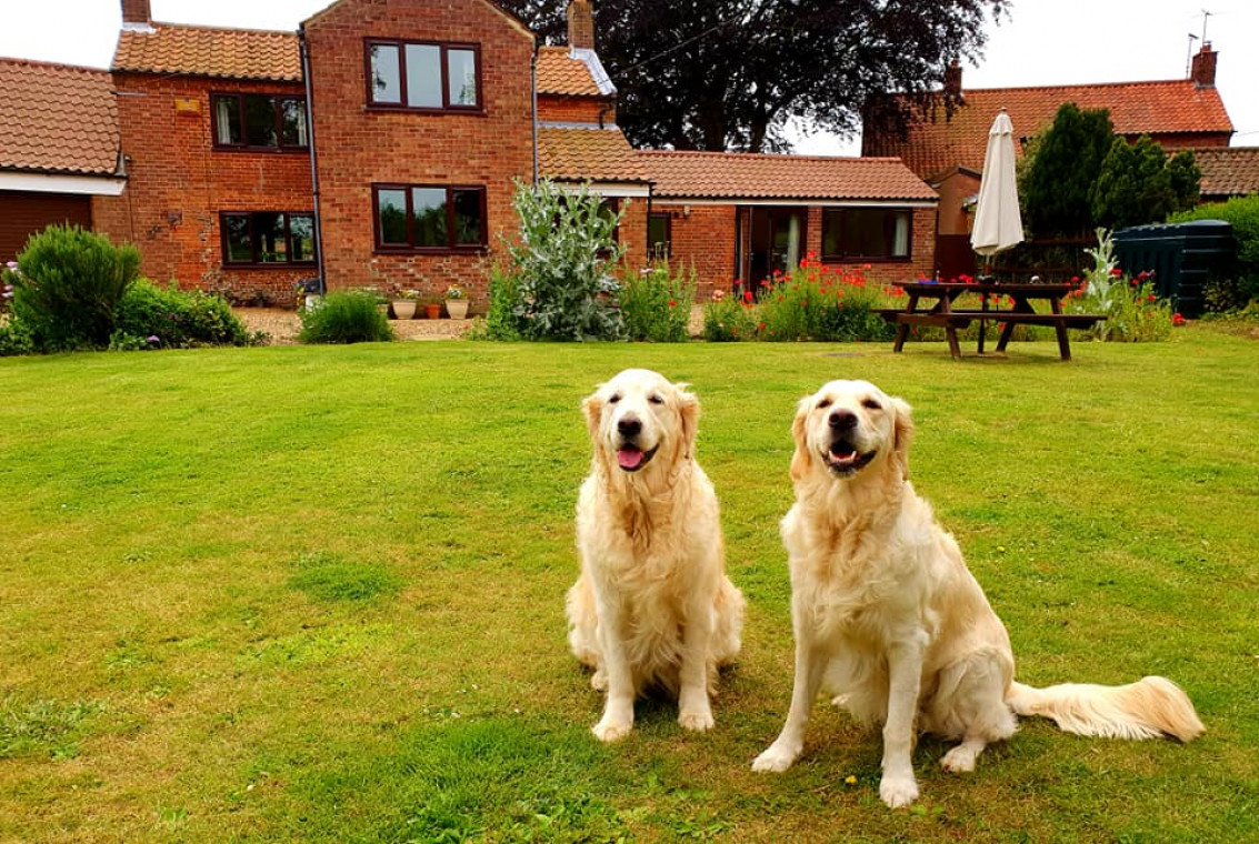 Pack Holidays Dog Friendly Cottages & Self Catering