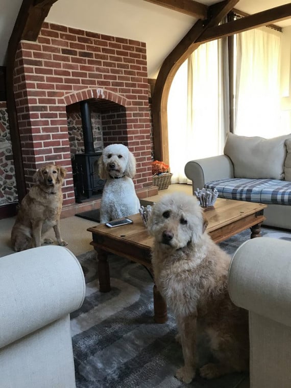 Pack Holidays Dog Friendly Cottages & Self Catering