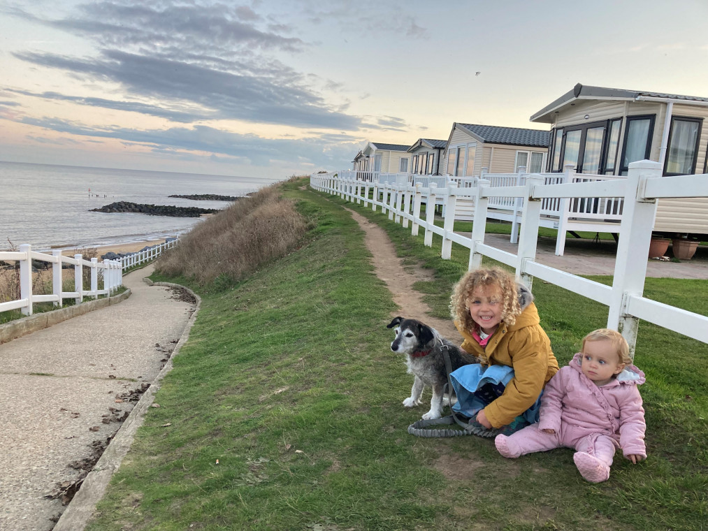 Dog friendly shop haven sites