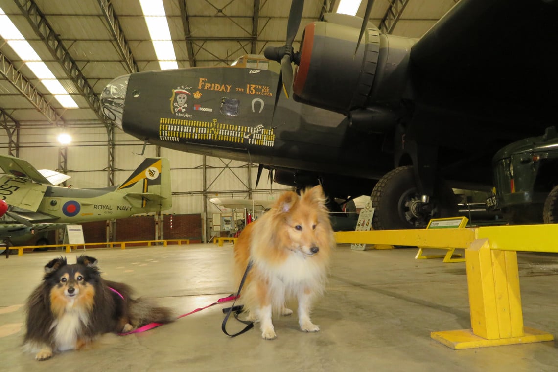 Yorkshire Air Museum Dog Friendly Days Out