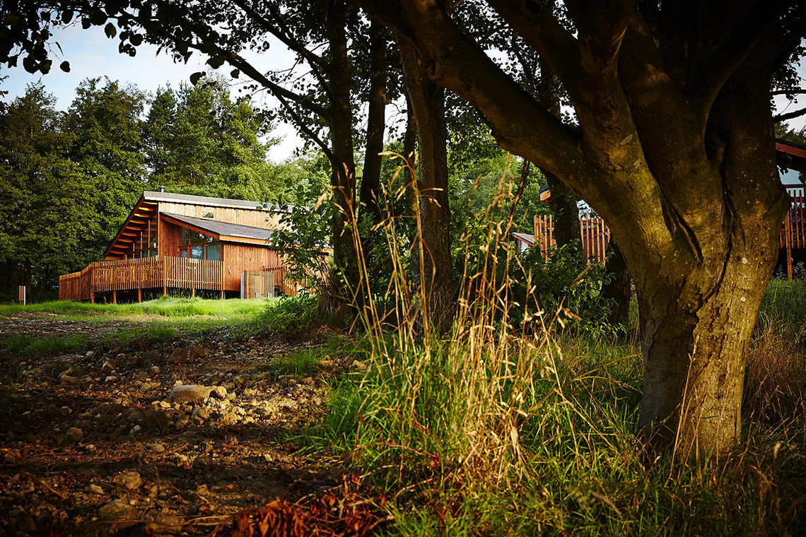 Forest Holidays Cropton Dog Friendly Cottages & Self