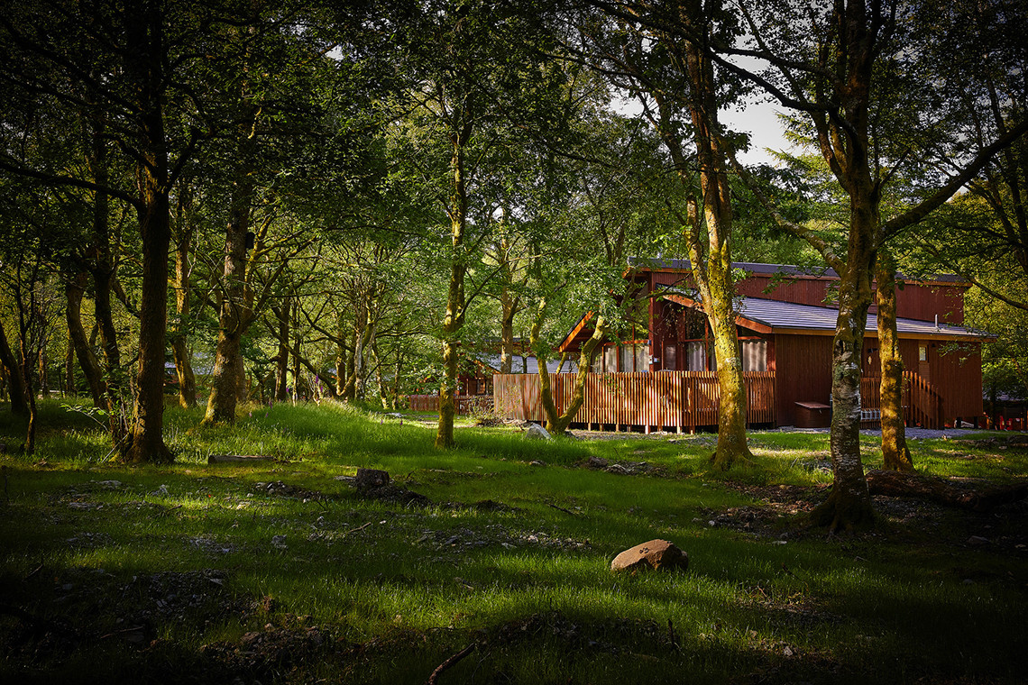 Forest Holidays Beddgelert Snowdonia Dog Friendly Cottages