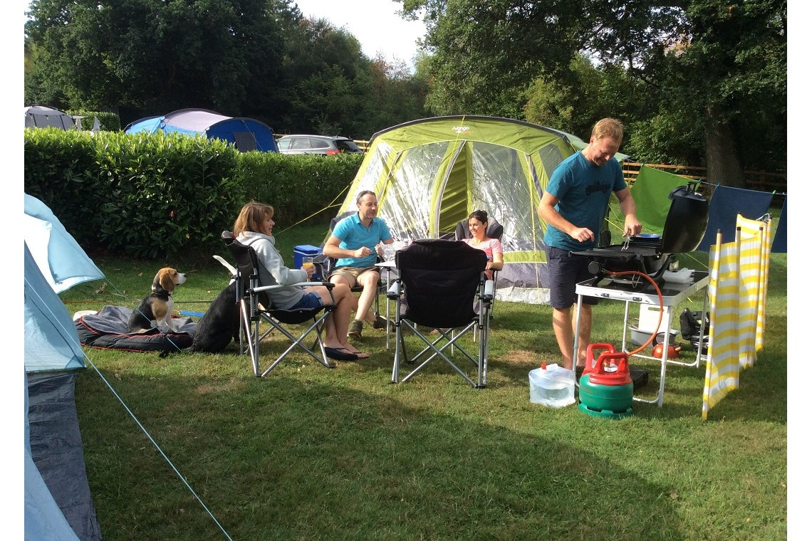 Deanwood Caravan And Camping Dog Friendly Camping Caravanning