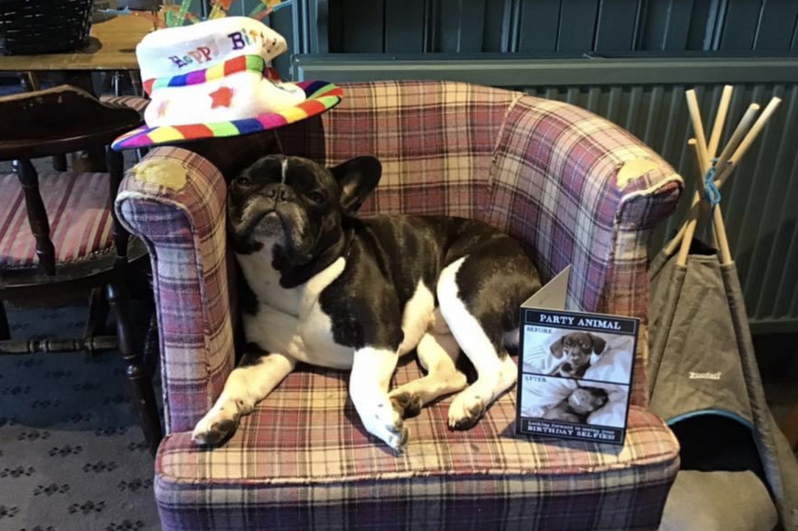 The runner swindon Dog Friendly Pub