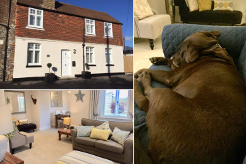 Dog Friendly Accommodation, Places To Visit, Places To Eat and Services