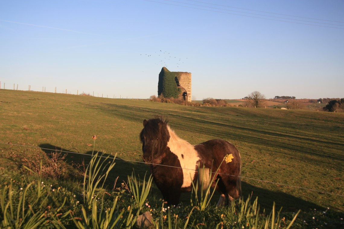 Poltor Cottage Dog Friendly Cottages Self Catering