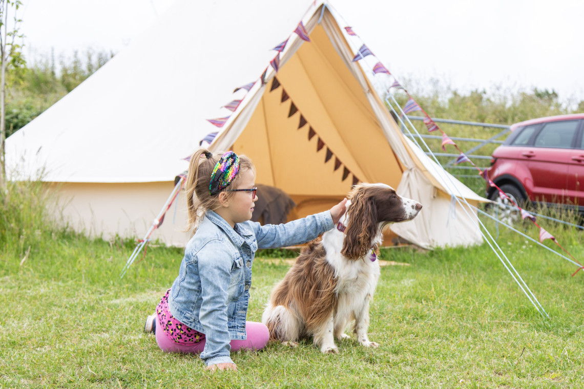 Dog friendly camping discount