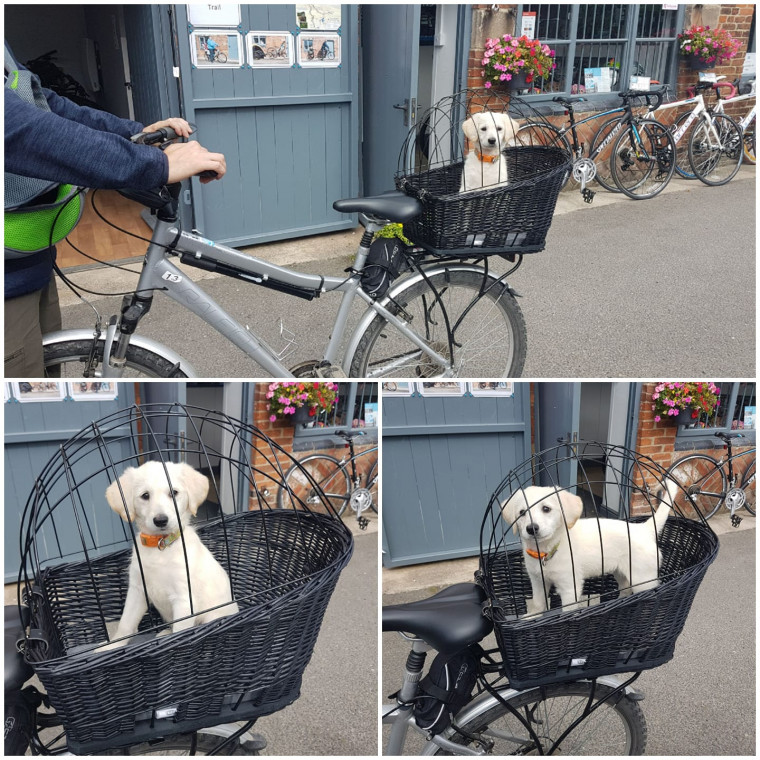 The Bike Barn Dog Friendly Days Out