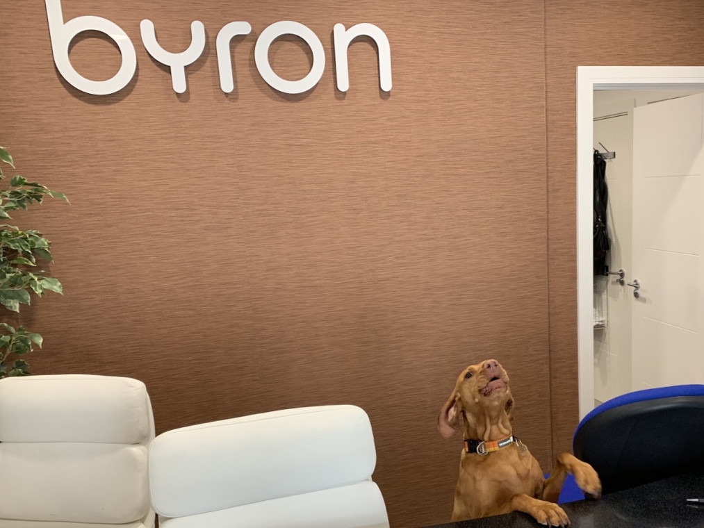 Byron Holidays Dog Friendly Cottages & Self