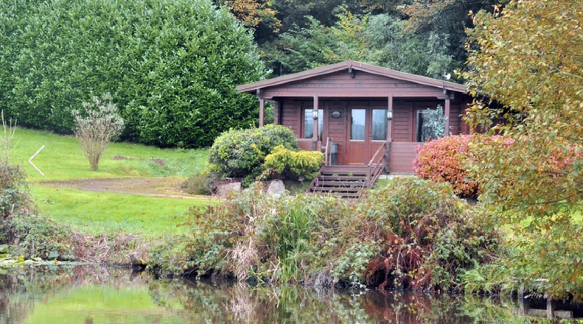 Lodges sales with dogs