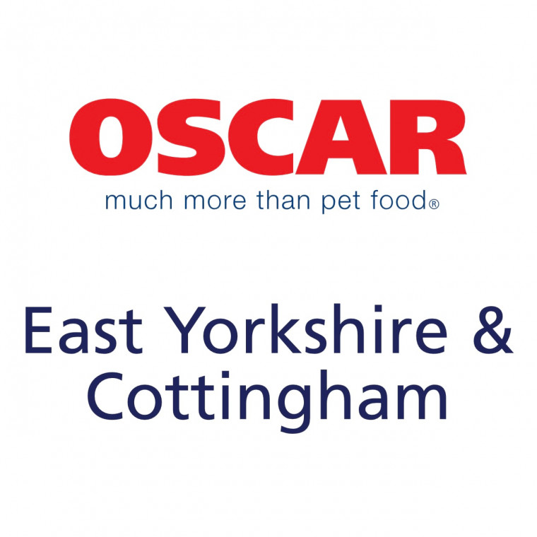 Oscar pet food deals near me
