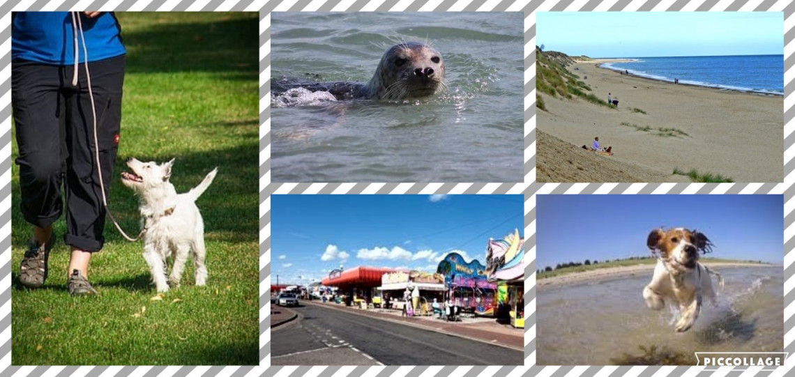 Hemsby Chalet Dog Friendly Cottages & Self Catering