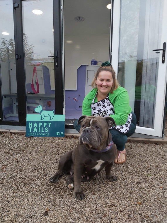 Happy tails sales grooming and boarding