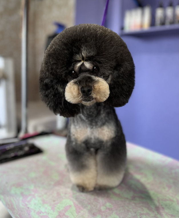 Countryside grooming best sale